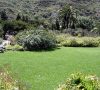 jardin-canario