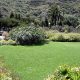 jardin-canario