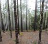 parco-naturale-di-tamabada