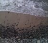 spiaggia-las-meloneras